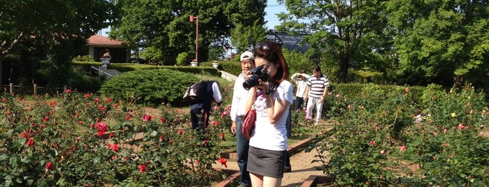 智光山公園 is one of 公園.