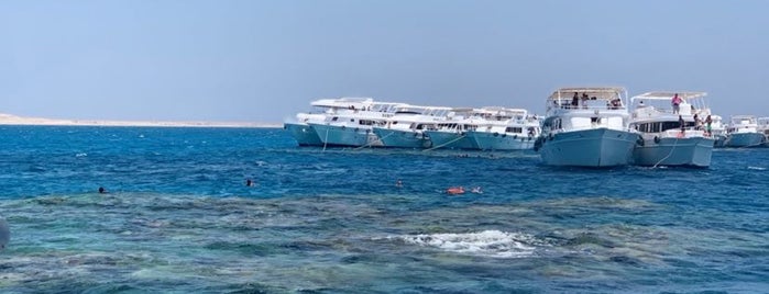 Dahab is one of Scuba places.