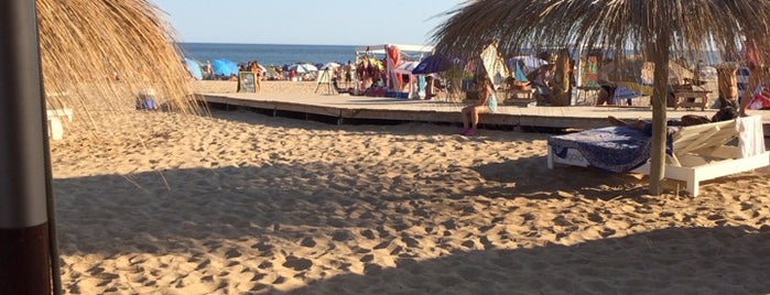 moby dick citi montoya beach is one of Yael'in Kaydettiği Mekanlar.