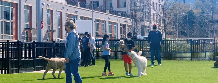 The Mile Dogpark is one of Reina’s Liked Places.