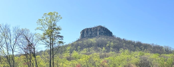 Pilot Mountain State Park is one of MURICA Road Trip.