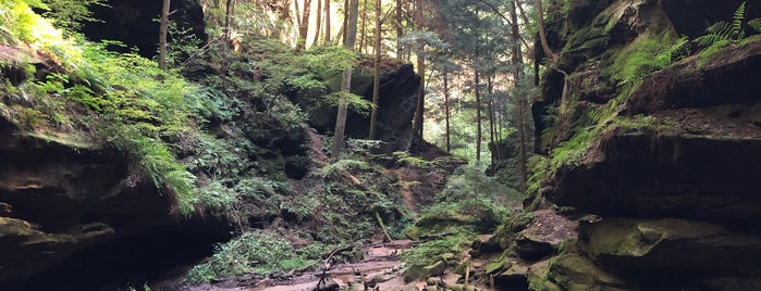 Conkle's Hollow State Nature Preserve is one of Kemi's Saved Places.