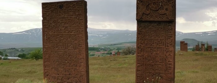 Ahlat Tarihi Selçuklu Mezarlığı is one of UNESCO.