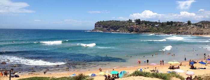 Mona Vale Beach is one of Paradise.