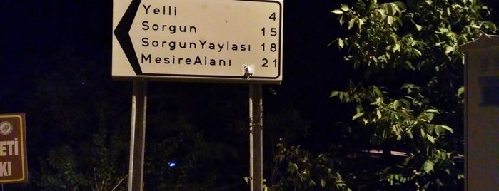 Çukur Çiftliği is one of Orte, die Özgür gefallen.