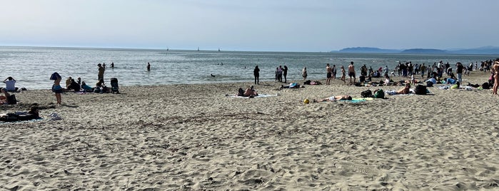 Spiaggia di Viareggio is one of Beach.