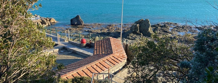 Castiglioncello is one of LUOGHI VISITATI.