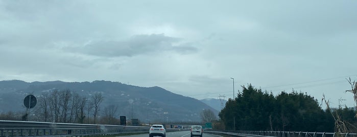 Raccordo A12 - A15 / (GE-LI) - (PR-SP) is one of %Autostrada A12 «Azzurra».