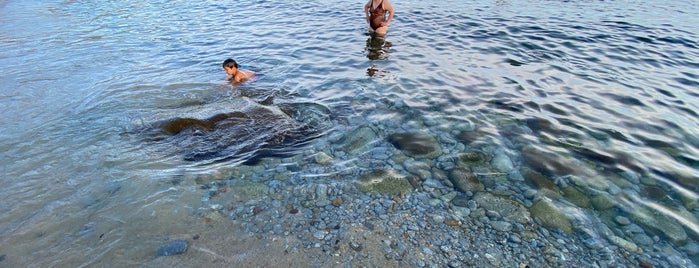 Spiaggia Seccheto is one of Isola D'Elba.