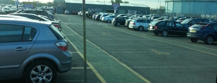 Purple Parking is one of Tempat yang Disimpan Ty.