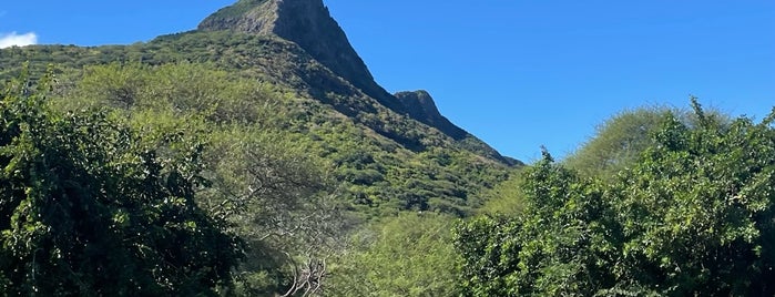 Casela Nature Leisure Park is one of Mauritius 🇲🇺 MRU 🏖️.