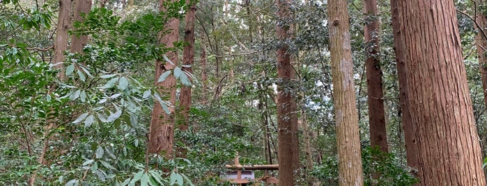 某神社 (ぼうじんじゃ) is one of 彌彦(いやひこ)さん.