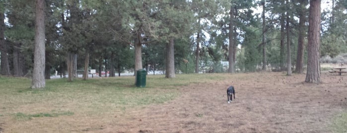 Ponderosa Off Leash Dog Park is one of Dog Parks.