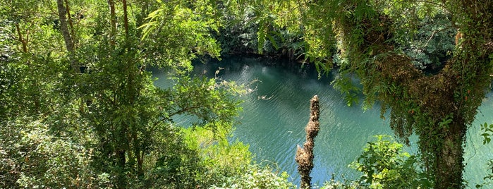 P.N. Vicente Pérez Rosales - Sector Laguna Verde is one of Lagos Andinos.