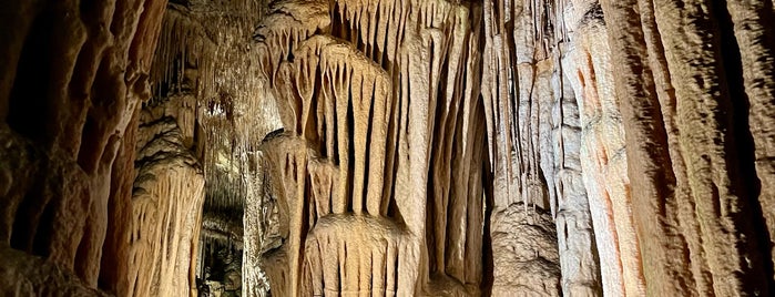 Cuevas del Drach is one of Mayorca.
