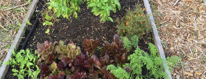 Boca Raton Community Garden is one of Boca Raton, FL.