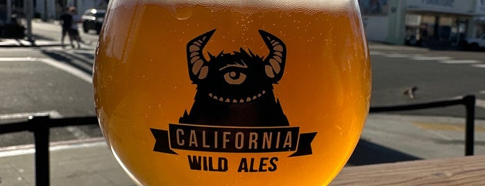California Wild Ales is one of Craft Beer Hot Spots in San Diego.