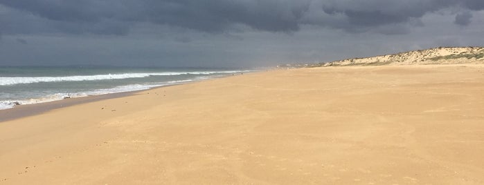 Praia Quinta do Lago is one of Francisco'nun Beğendiği Mekanlar.