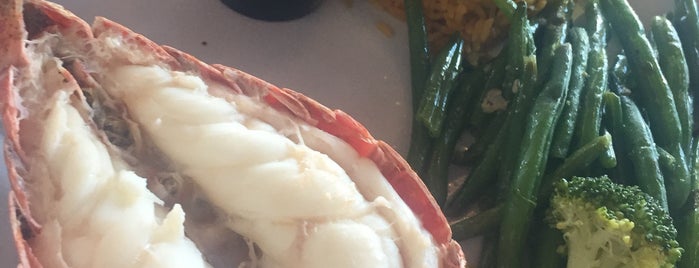 Conch Republic Seafood Company is one of Locais curtidos por Francisco.
