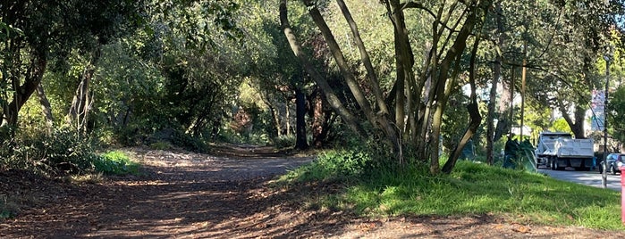 Park Presidio Service Rd is one of SF Trails & Overlooks.