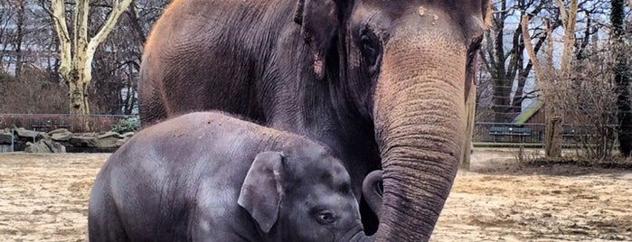 ベルリン動物園 is one of Berlin.