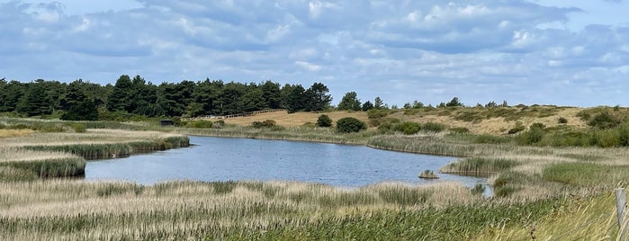 Holme Dunes National Nature Reserve is one of Norfolk.