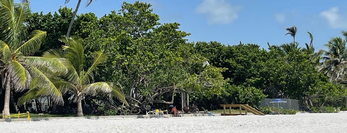 Naples Beach is one of Florida Gulf Coast.