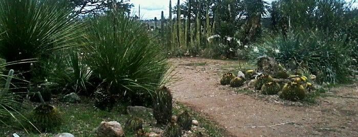 Jardin Botanico El Charco Del Ingenio is one of México.