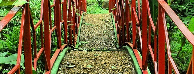 Bosque Fábio Barreto is one of Conhecer Ribeirão.