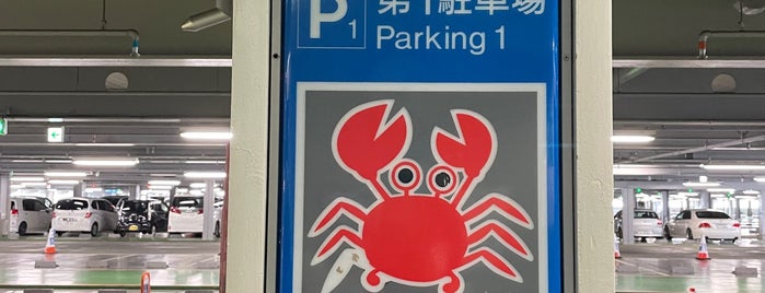 関西国際空港 第1駐車場 P1 is one of 要注意.