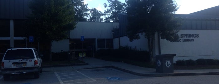 The Lithia springs Public Library is one of Lieux qui ont plu à Chester.