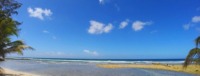 Drill Hall is one of Barbados Child-Friendly Beaches.