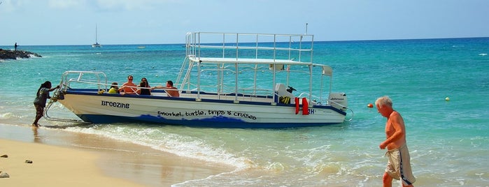 Paynes Bay Beach is one of Best Barbados west coast beaches!.