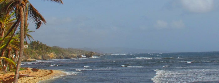 Martin's Bay is one of Rs Barbados.