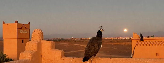 Maison d'Hote Ecolodge l'île de Ouarzazate is one of Marruecos.