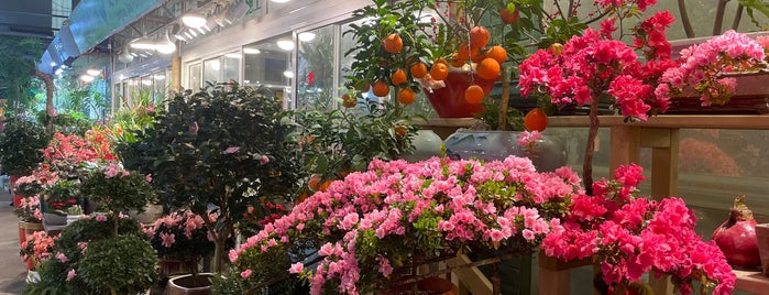 Hongqiao Bird and Flower Market is one of Shanghai.