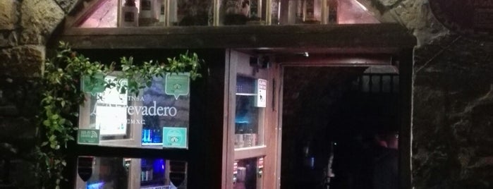 Pub L Abrevadero is one of Aínsa.