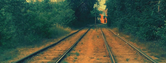 Остановка «Учхоз» is one of Bus stops in Omsk.