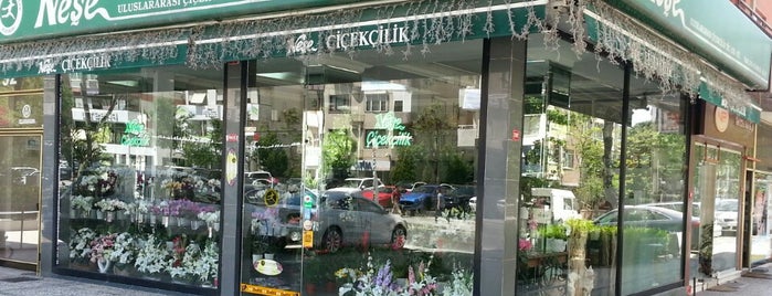 Neşe Uluslararası Çiçekçilik is one of Gespeicherte Orte von ⚓️Ceyda.