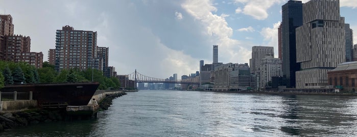 Roosevelt Island Running Path is one of Jogging Locations.