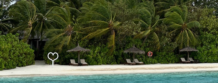 Anantara Dhigu Resort & Spa Maldives is one of Maldives 🇲🇻.