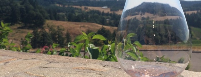 Oregon vineyards