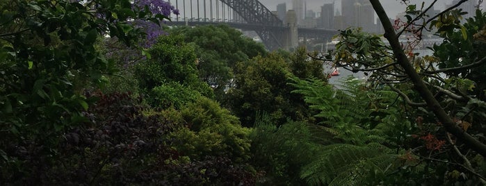 Wendy Whiteley's Secret Garden is one of Australia.