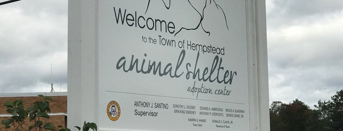 Hempstead Animal Shelter is one of Tempat yang Disukai Kelly.