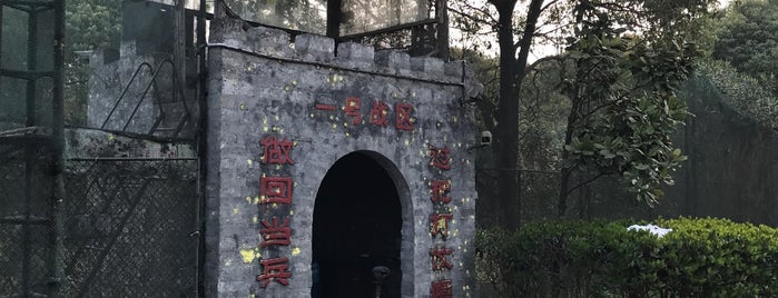 Weicheng Paintball Arena is one of Shanghai.