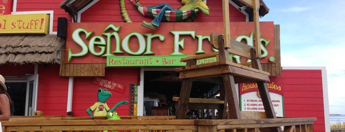Señor Frog's is one of Shannon Says.