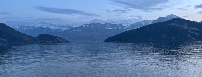 Vierwaldstättersee / Lake Lucerne is one of Luzern.