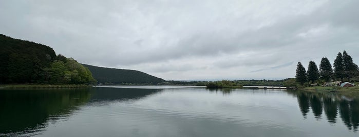Lake Tanuki is one of 静岡に行ったらココに行く！ Vol.1.