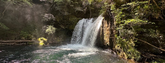 Shokei-daru Falls is one of 伊豆.