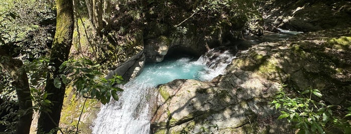 エビ滝 is one of 伊豆の旅.